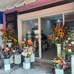 Flores D' Colores