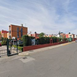 Flores Dalhú