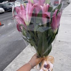 Flores De Altura