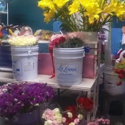 Flores De Calidad