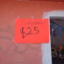 Flores De Cempasúchil