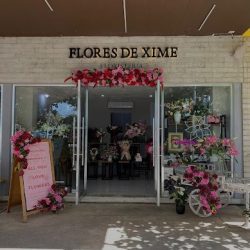 Flores De Xime