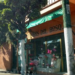 Flores Del Bosque