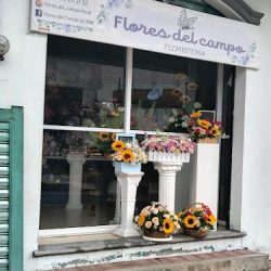 Flores Del Campo Floristería