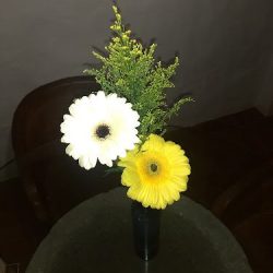 Flores Doña Cata