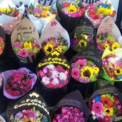 Flores El Tico