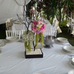Flores Elegantes