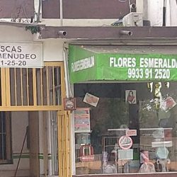 Flores Esmeralda *bodega*