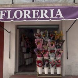 Flores Finas Rancho Santa Irene, Sucursal Chapingo