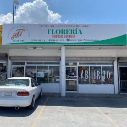 Flores, Follajes Y Plantas Del Norte