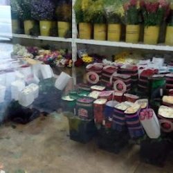 Flores Follajes Y Plantas Del Norte