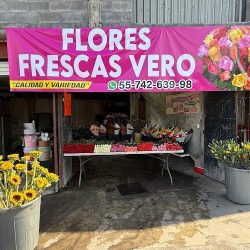 Flores Frescas Vero