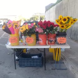 Flores Glorieta Quetzalcóatl