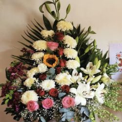 Flores Kasira