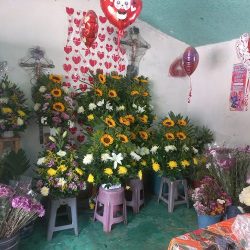 Flores Lia