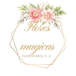 Flores Mágicas