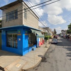 Flores Magón
