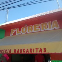Flores Margaritas