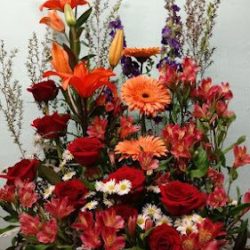 Flores Más Flores Igual A Regalo