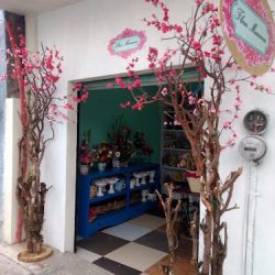 Flores Mexicanas