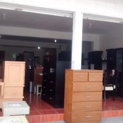 Flores, Muebles Rústicos Y Artesanías En Madera