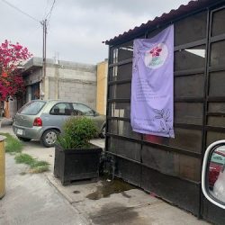 Flores Para Ti