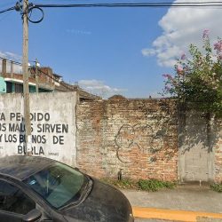 Flores Para Todo Tipo De Ocasión