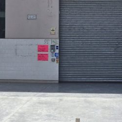 Flores Plantas Follajes Y Más La Bodega