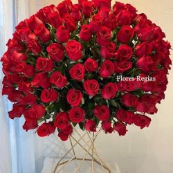 Flores Regias