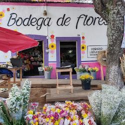 Flores Rojas