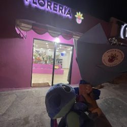 Flores Rosas & Girasoles Alexis Jiménez