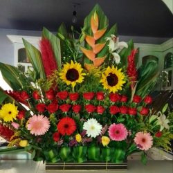 Flores Saloma