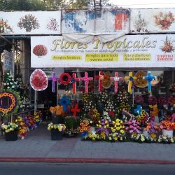Flores Tropicales