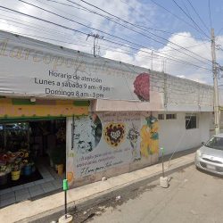 Flores Y Arreglos Marpol