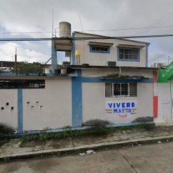 Flores Y Café "mayta"