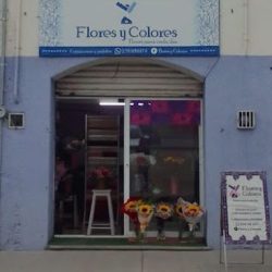 Flores Y Colores
