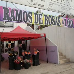 Flores Y Detalles