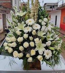Flores Y Detalles Nando's