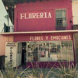 Flores Y Emociones
