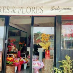 Flores Y Flores Teoloyucan