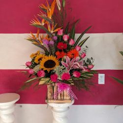 Flores Y Follajes Evelin