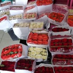Flores Y Follajes La Loma