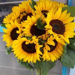 Flores Y Follajes La NiÑa