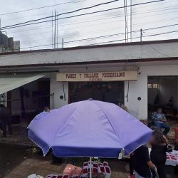 Flores Y Follajes Preservados