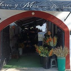 Flores Y Más Pilar Sánchez