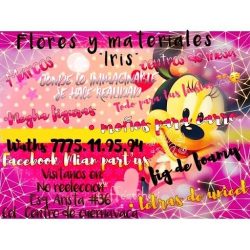 Flores Y Materiales Iris