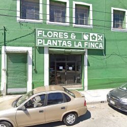 Flores Y Plantas La Finca