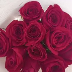 Flores Y Regalos Kukulkán