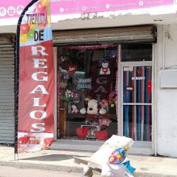 Flores Y Rosas