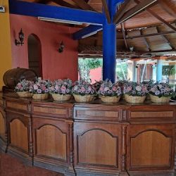 Flores Y Velas "amore Mio"